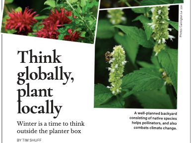 "Think Globally Plant Locally"