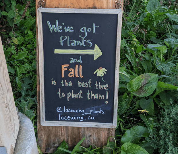 Fall Planting Season is Here!